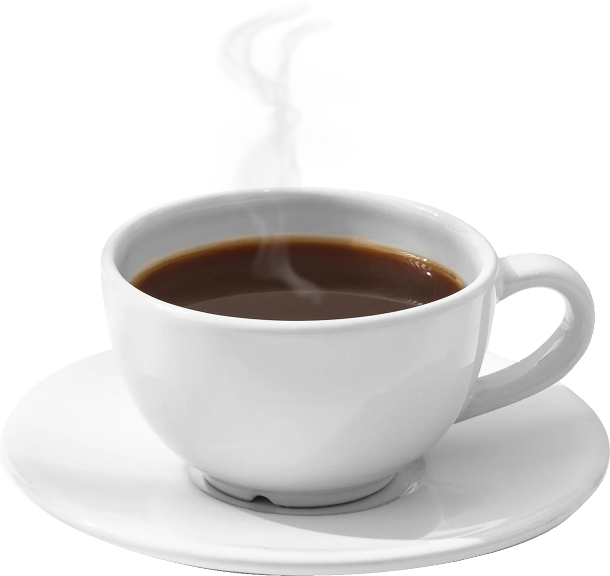 바로신청하기 이미지