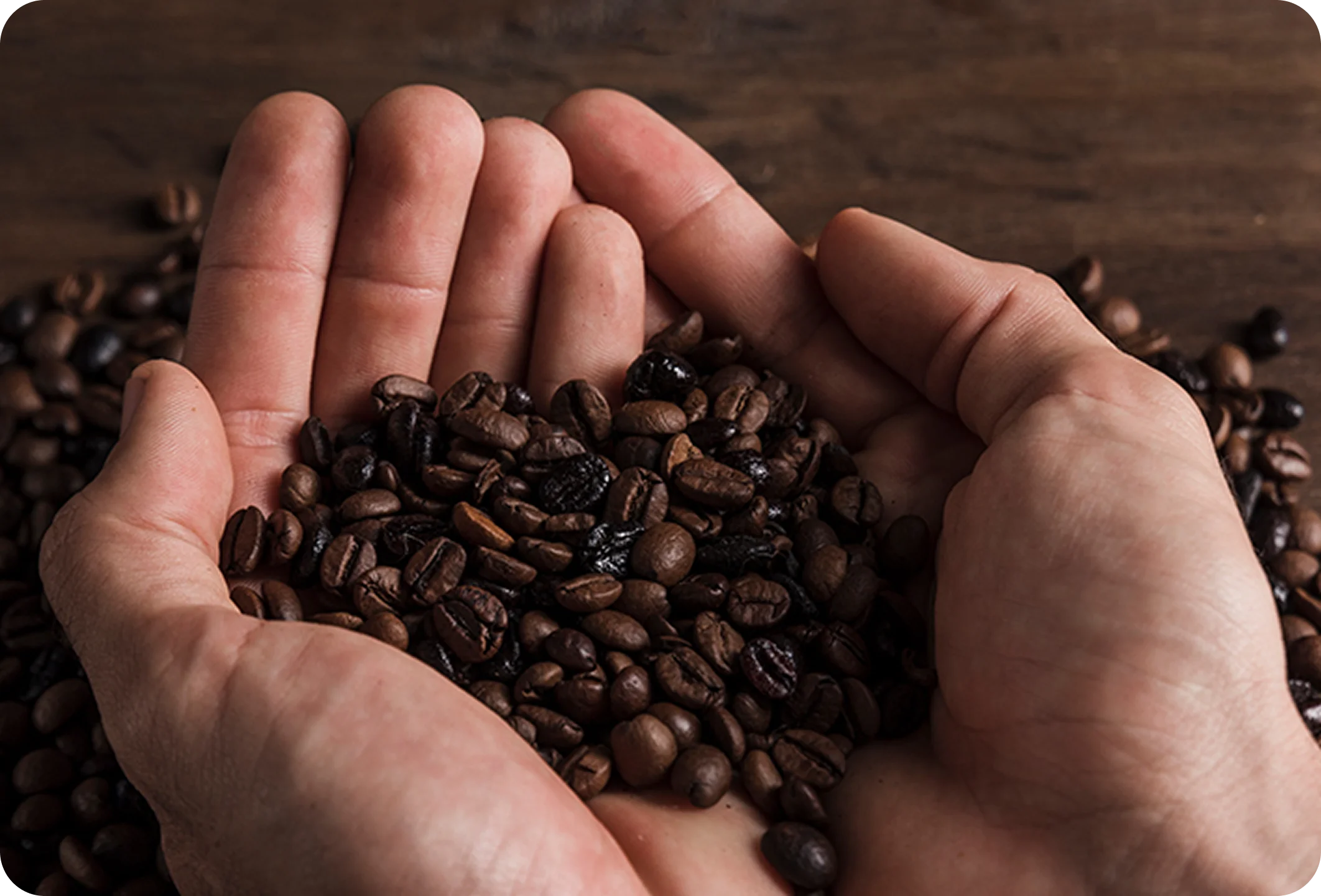 이제이커피소개 이미지