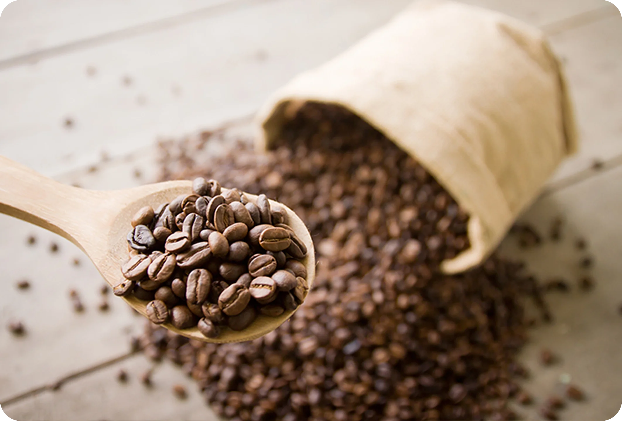 이제이커피소개 이미지