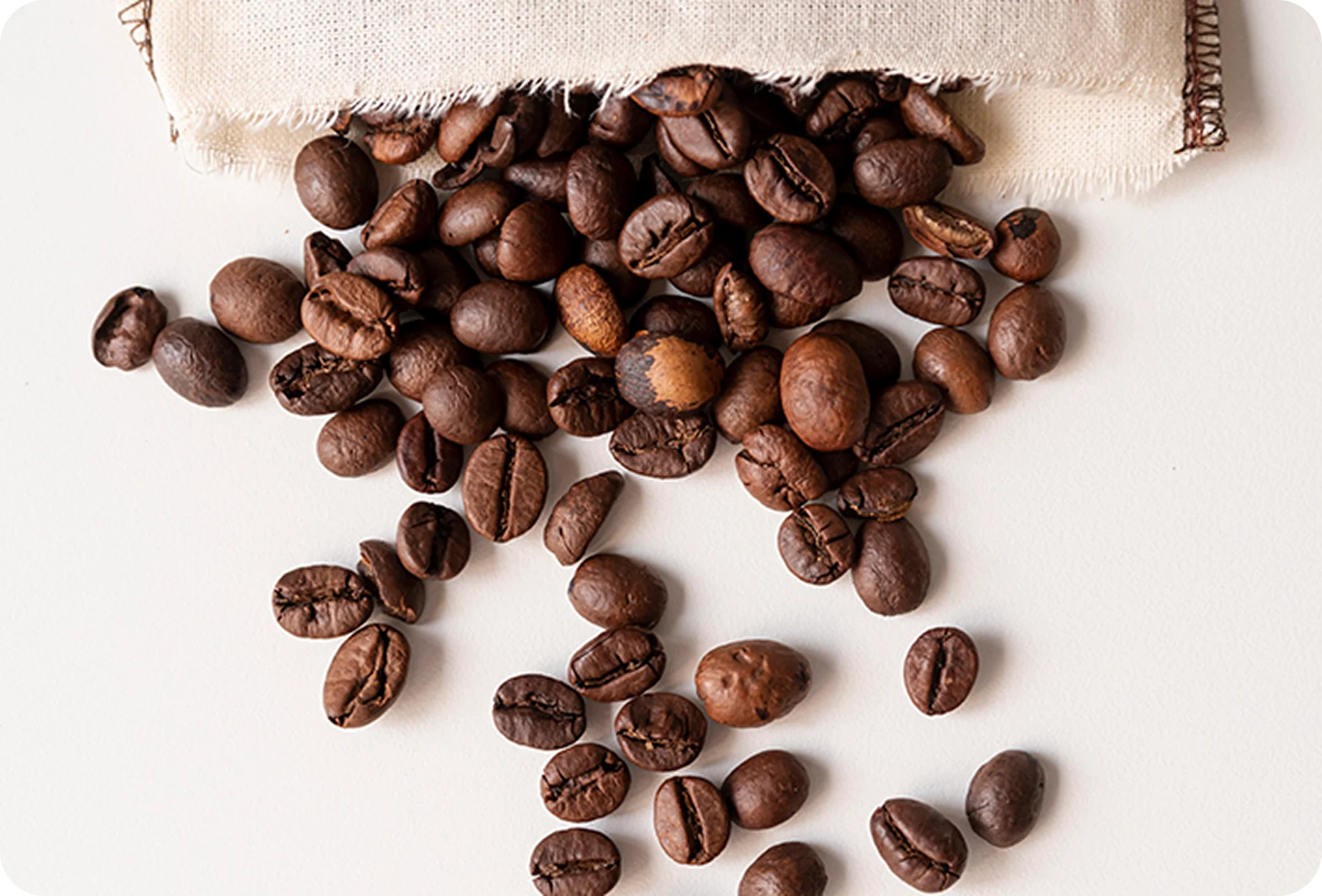 이제이커피소개 이미지