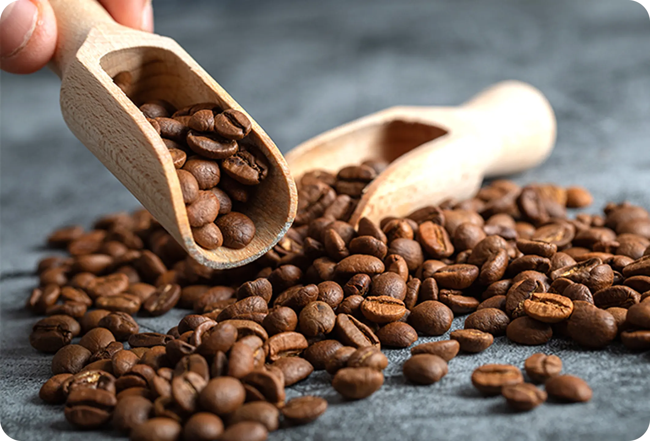 이제이커피소개 이미지