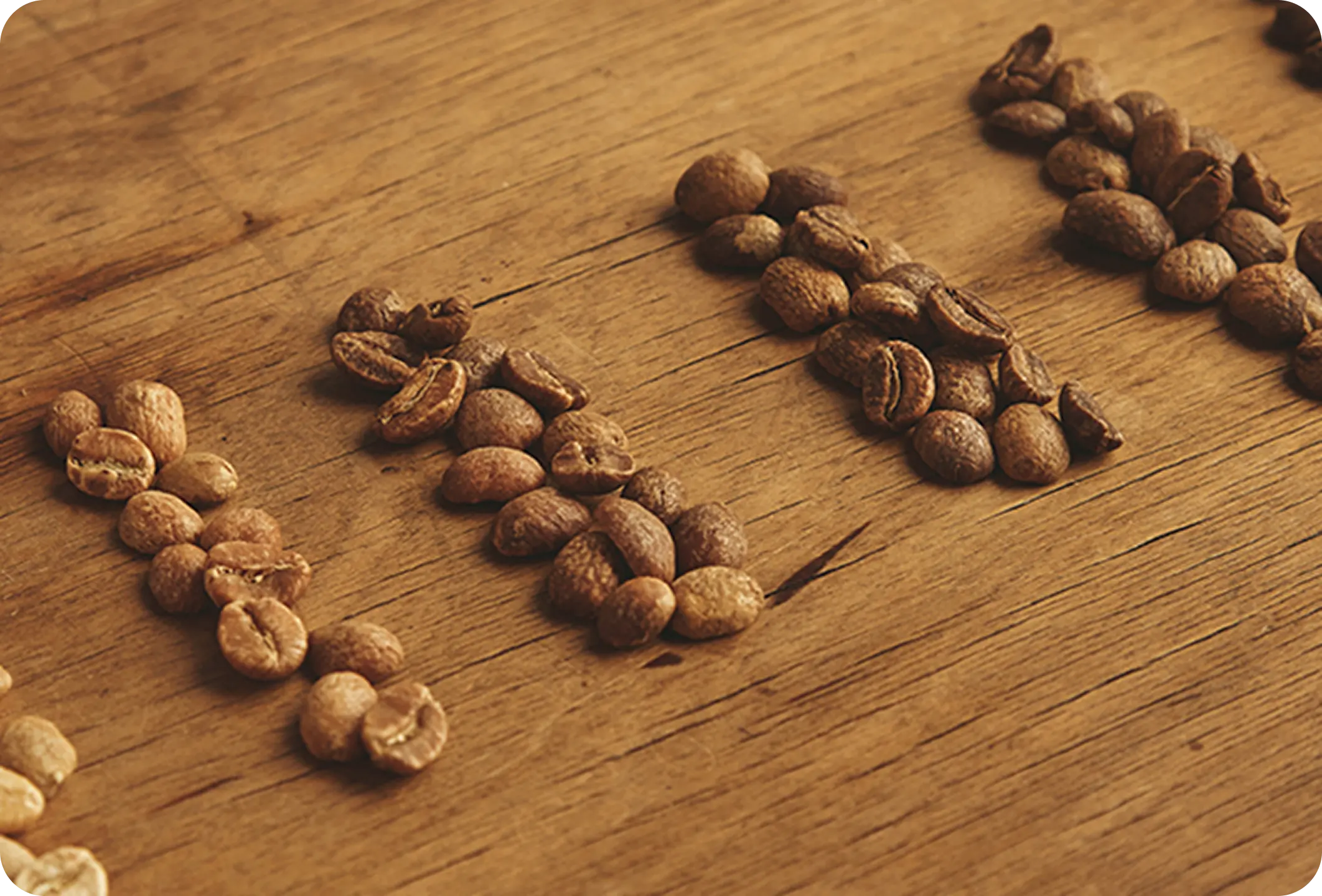 이제이커피소개 이미지